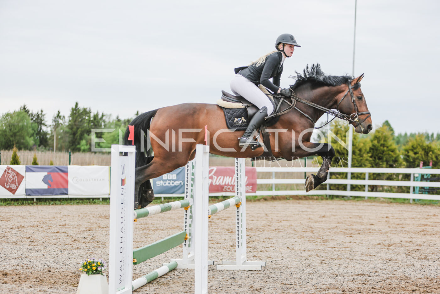 Gramina_Kevad_2026_105_165