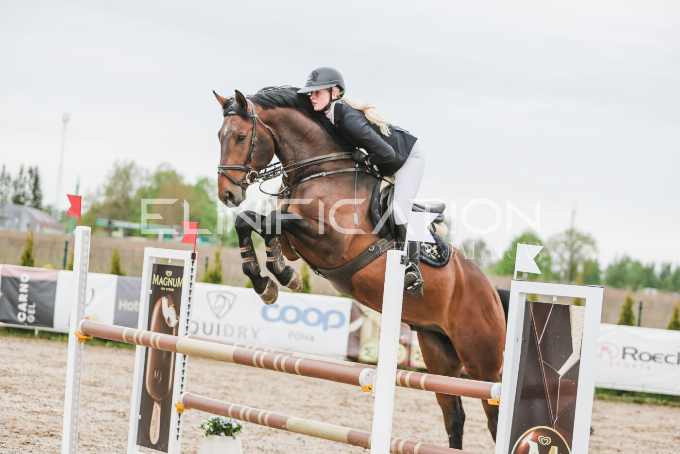 Gramina_Kevad_2026_105_172