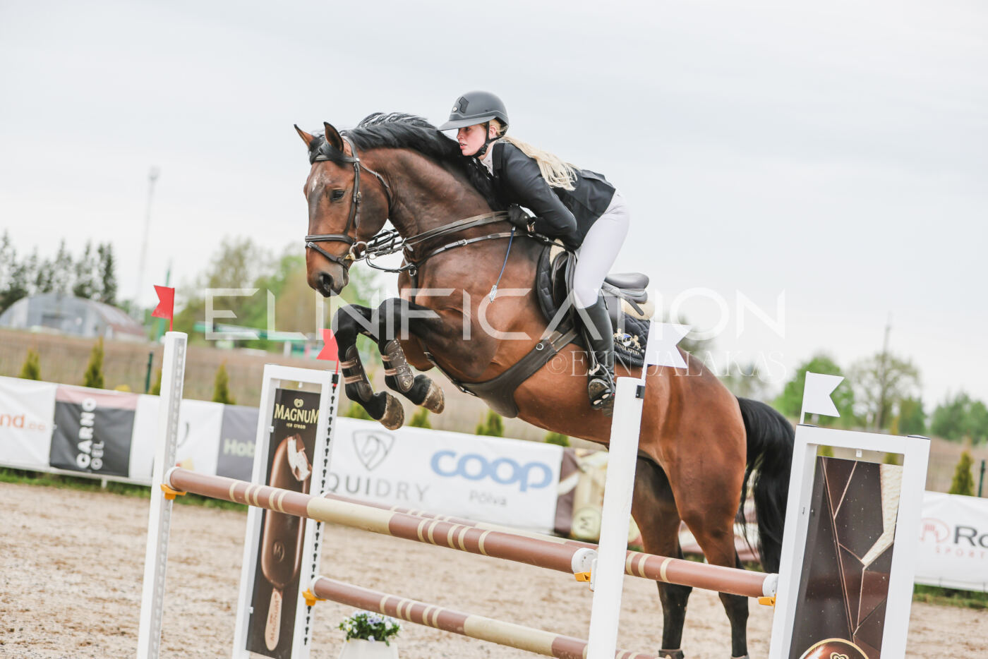 Gramina_Kevad_2026_105_173
