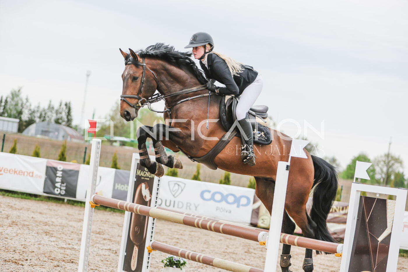 Gramina_Kevad_2026_105_174