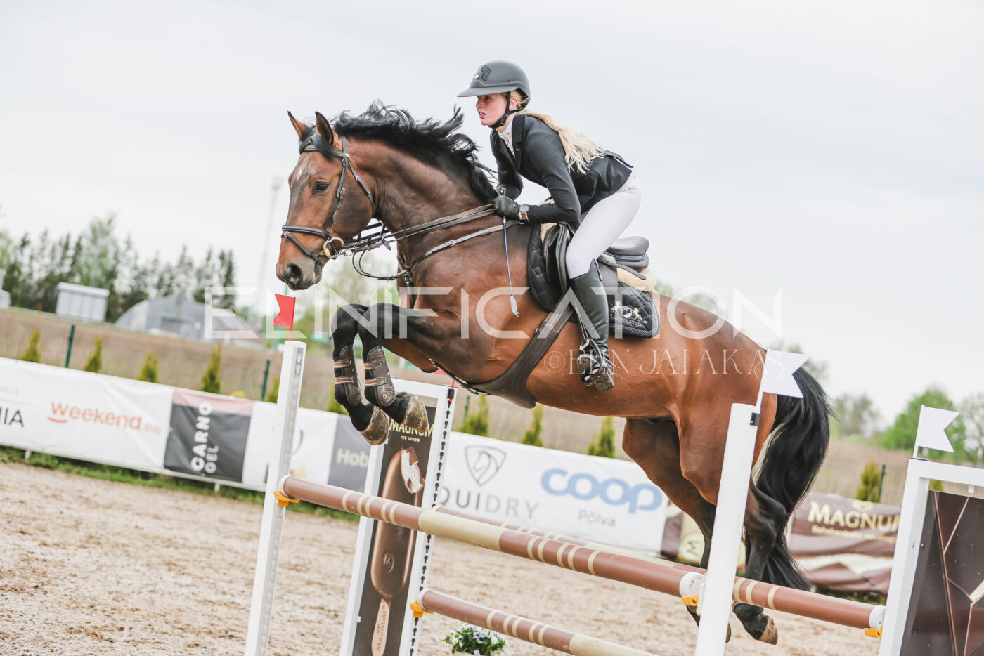 Gramina_Kevad_2026_105_175
