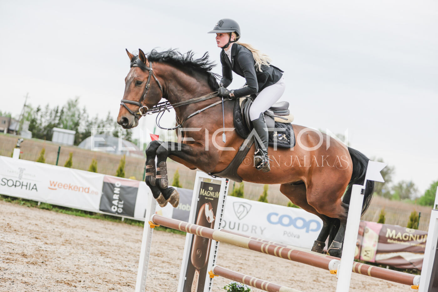 Gramina_Kevad_2026_105_176