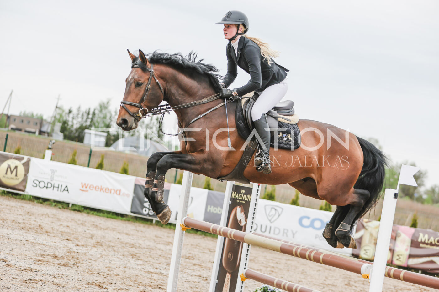 Gramina_Kevad_2026_105_177