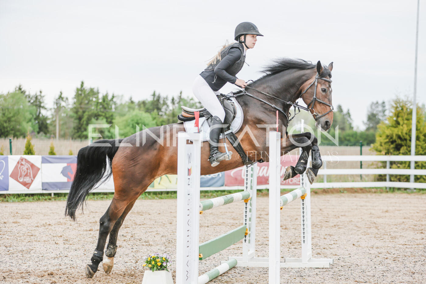 Gramina_Kevad_2026_105_182