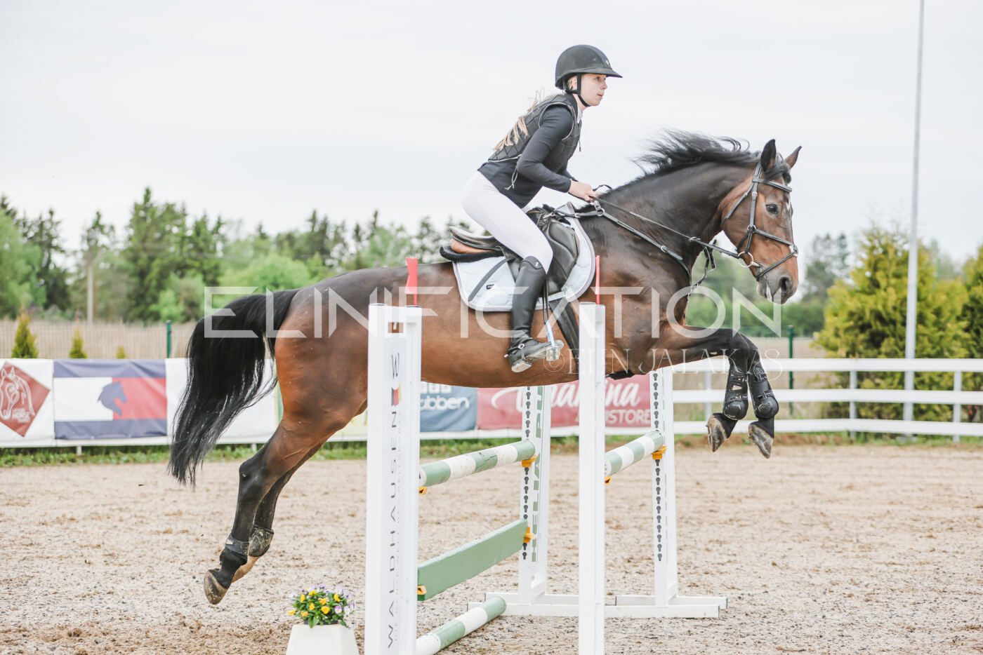 Gramina_Kevad_2026_105_183