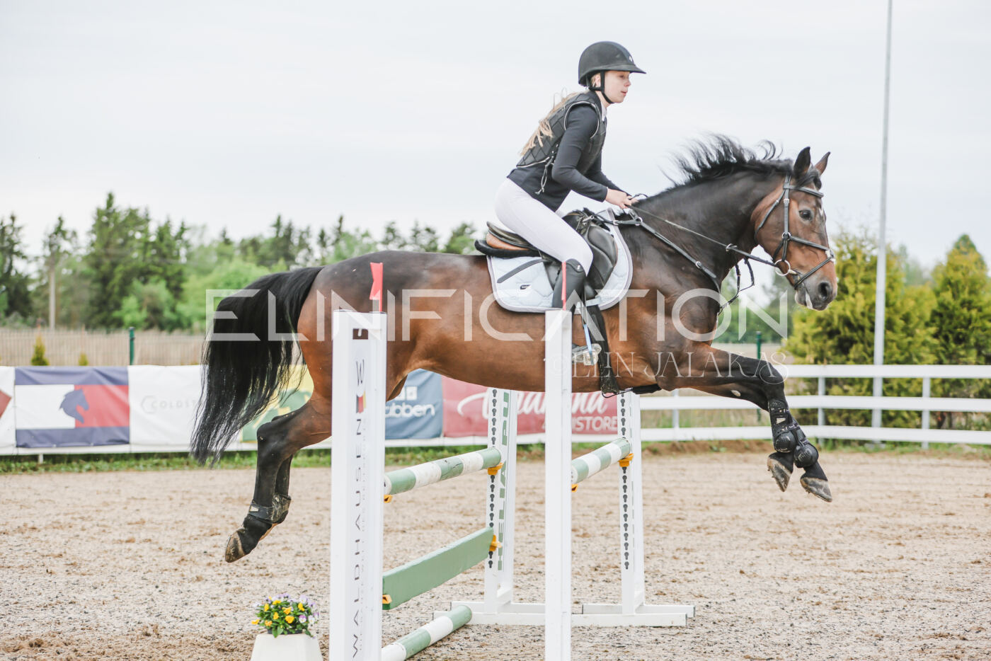 Gramina_Kevad_2026_105_184