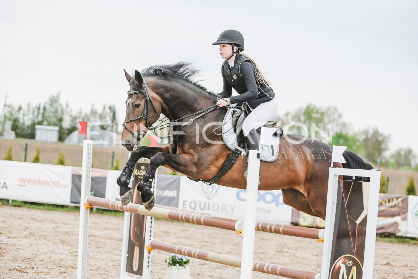 Gramina_Kevad_2026_105_194
