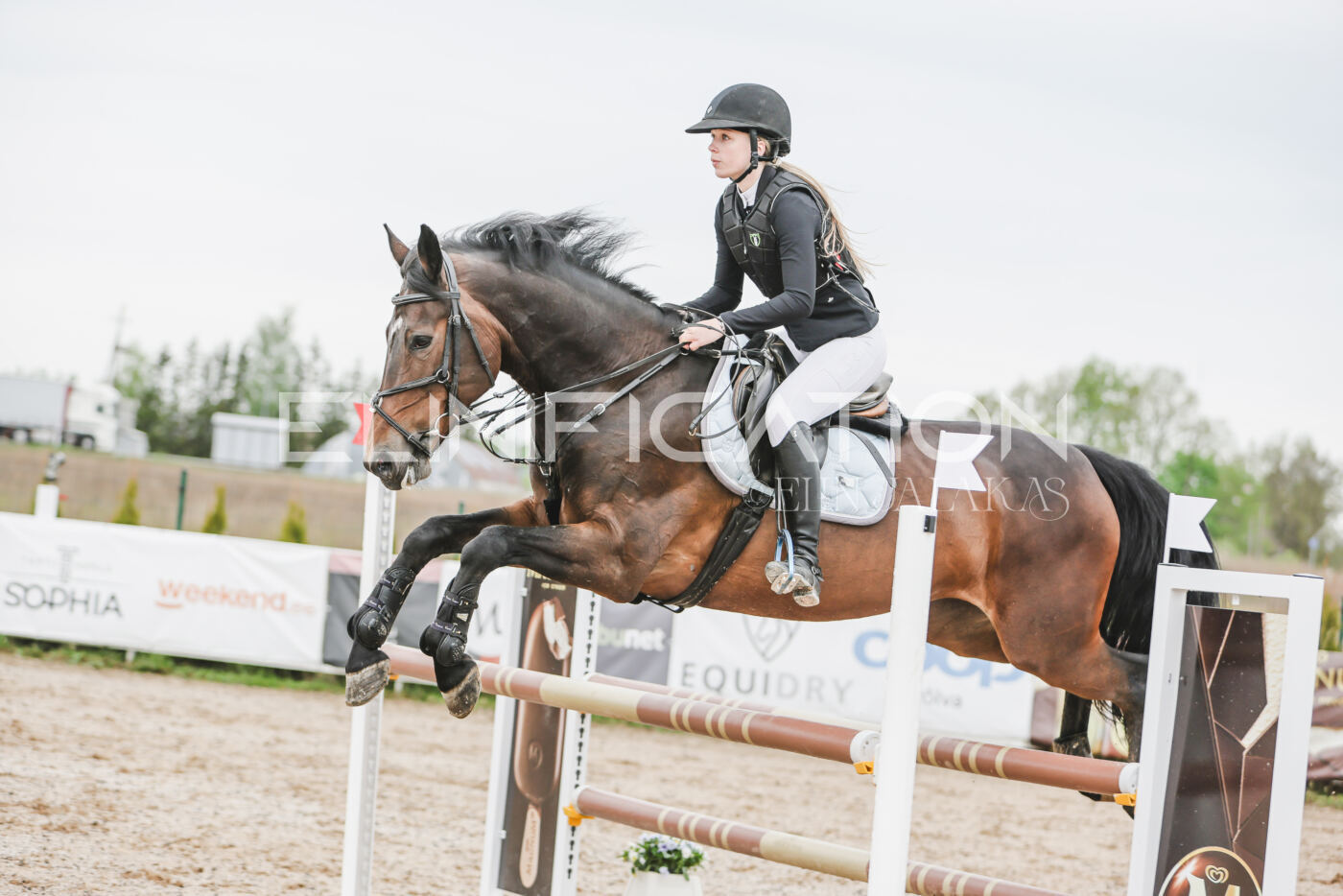 Gramina_Kevad_2026_105_195