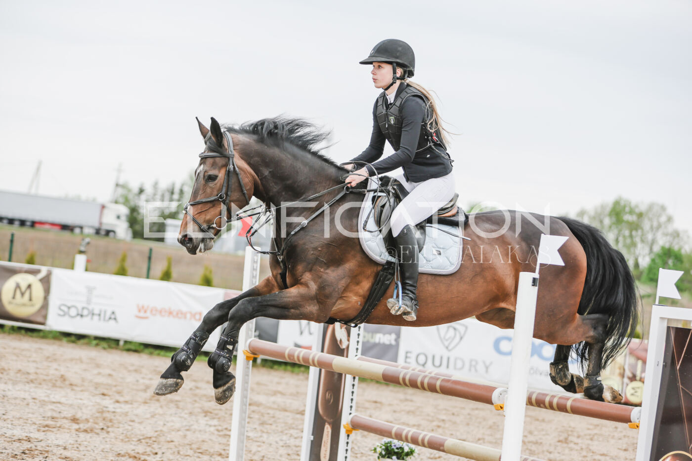 Gramina_Kevad_2026_105_196