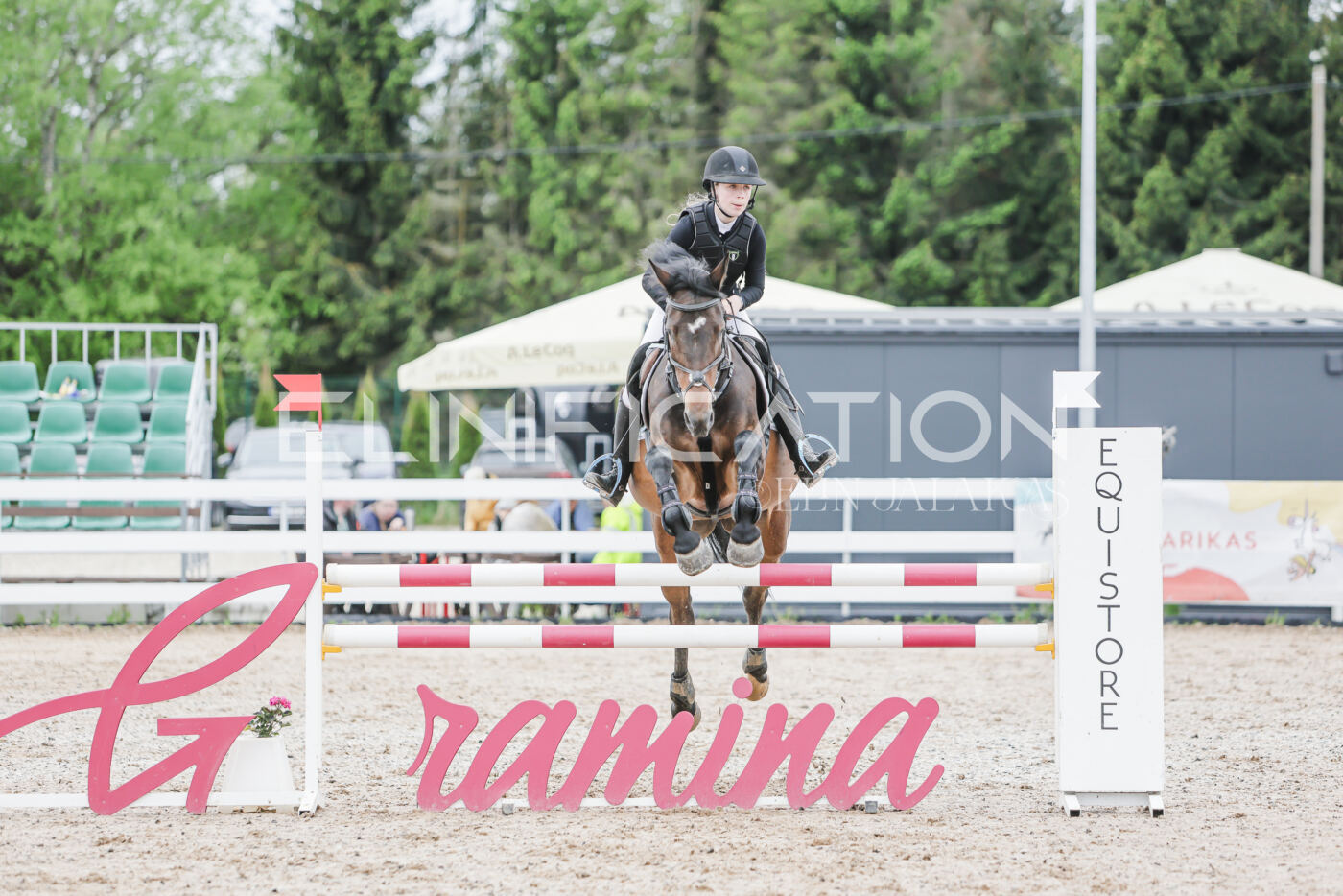 Gramina_Kevad_2026_105_198