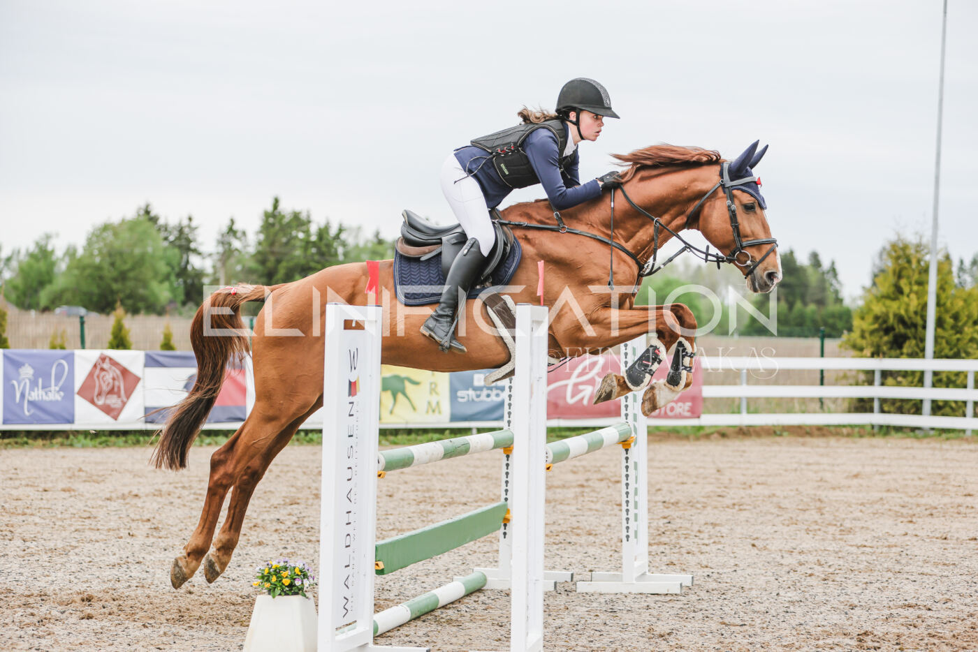 Gramina_Kevad_2026_105_201