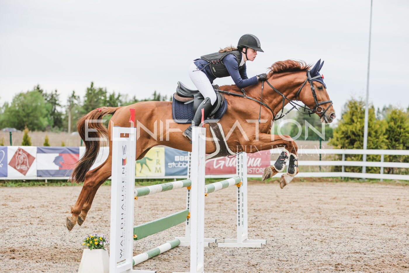 Gramina_Kevad_2026_105_202