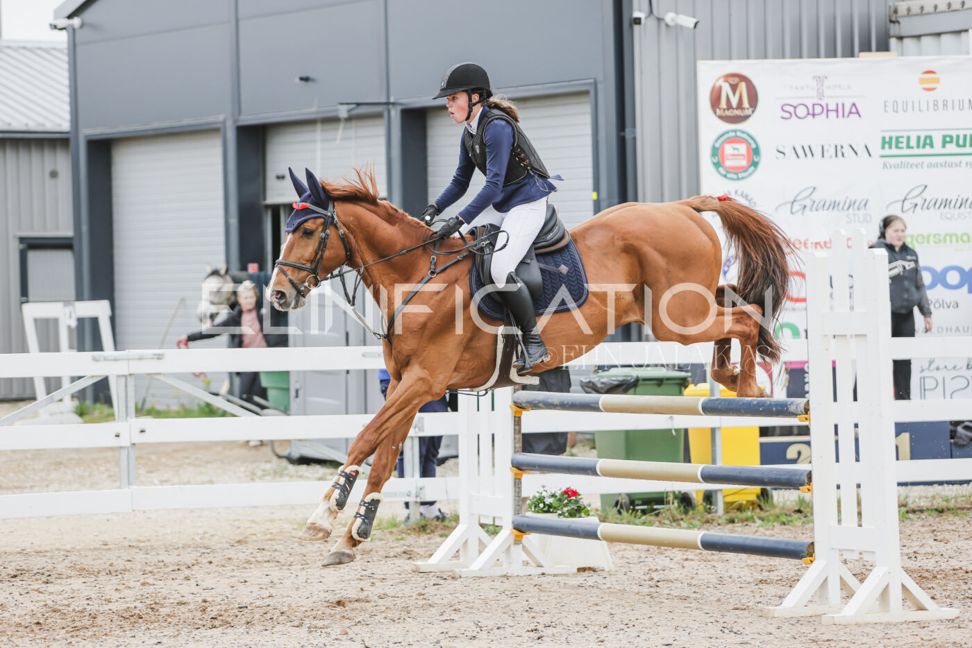 Gramina_Kevad_2026_105_209