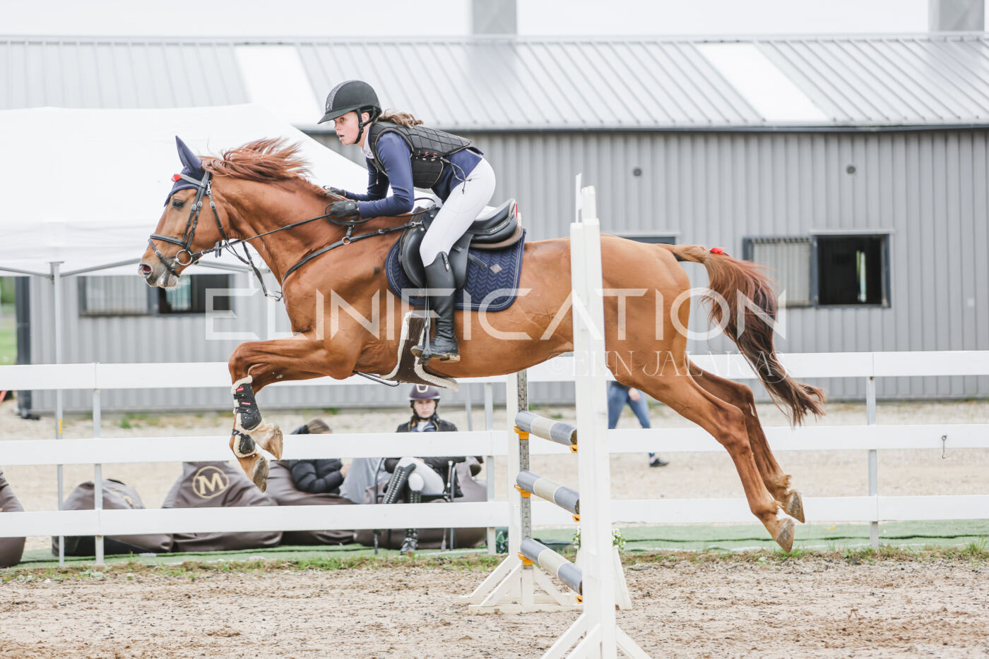 Gramina_Kevad_2026_105_211