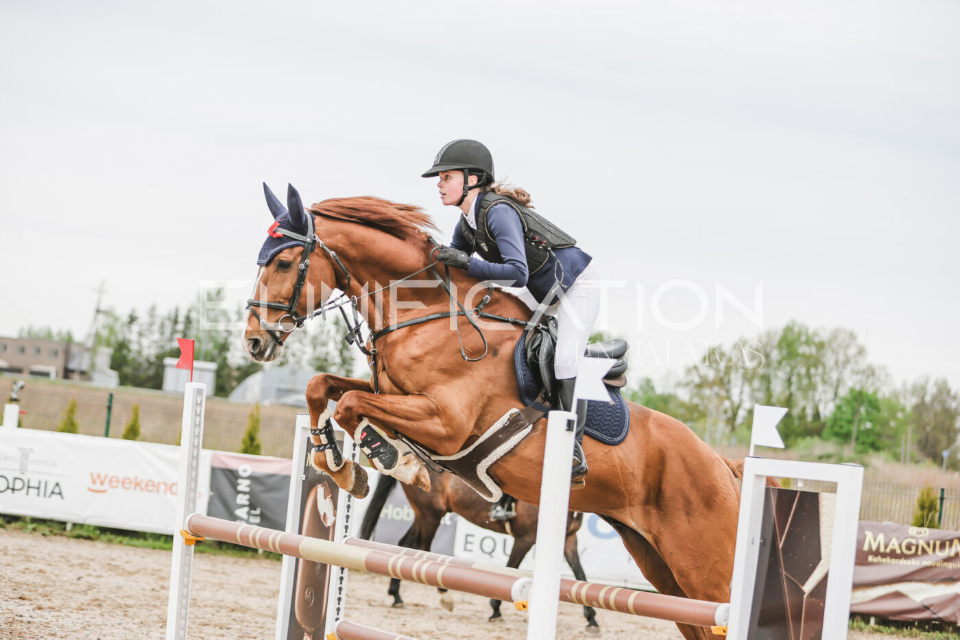 Gramina_Kevad_2026_105_212