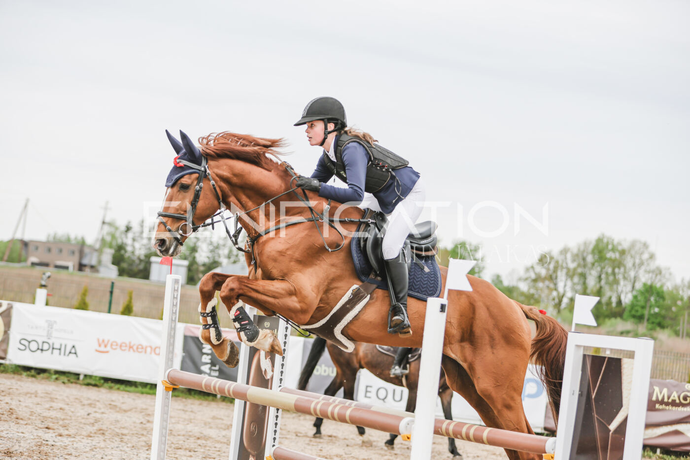 Gramina_Kevad_2026_105_213
