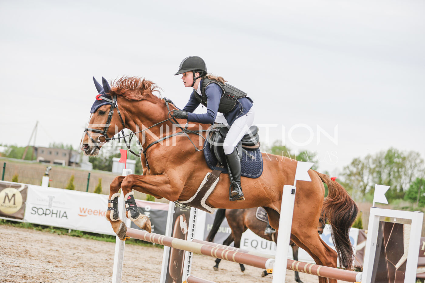 Gramina_Kevad_2026_105_214