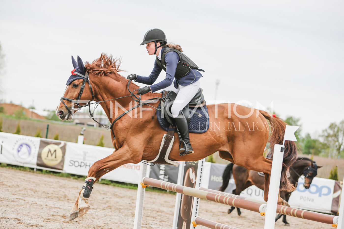 Gramina_Kevad_2026_105_216