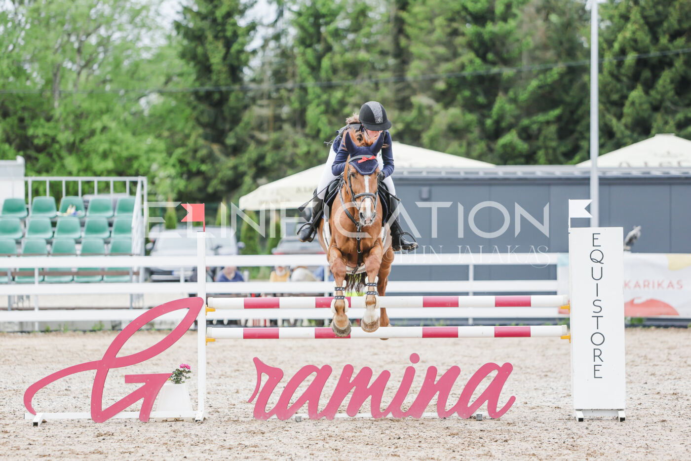 Gramina_Kevad_2026_105_217