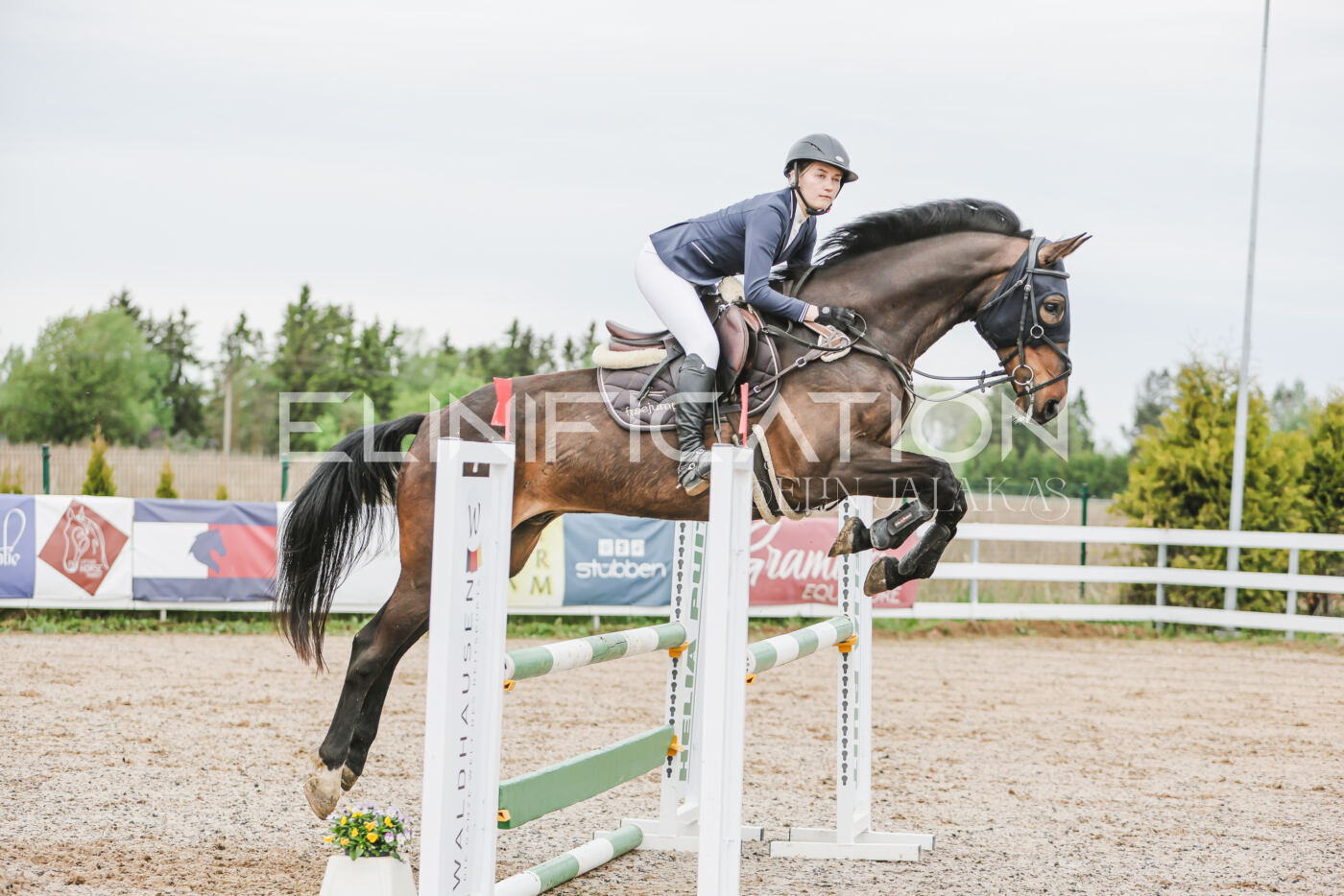 Gramina_Kevad_2026_105_219