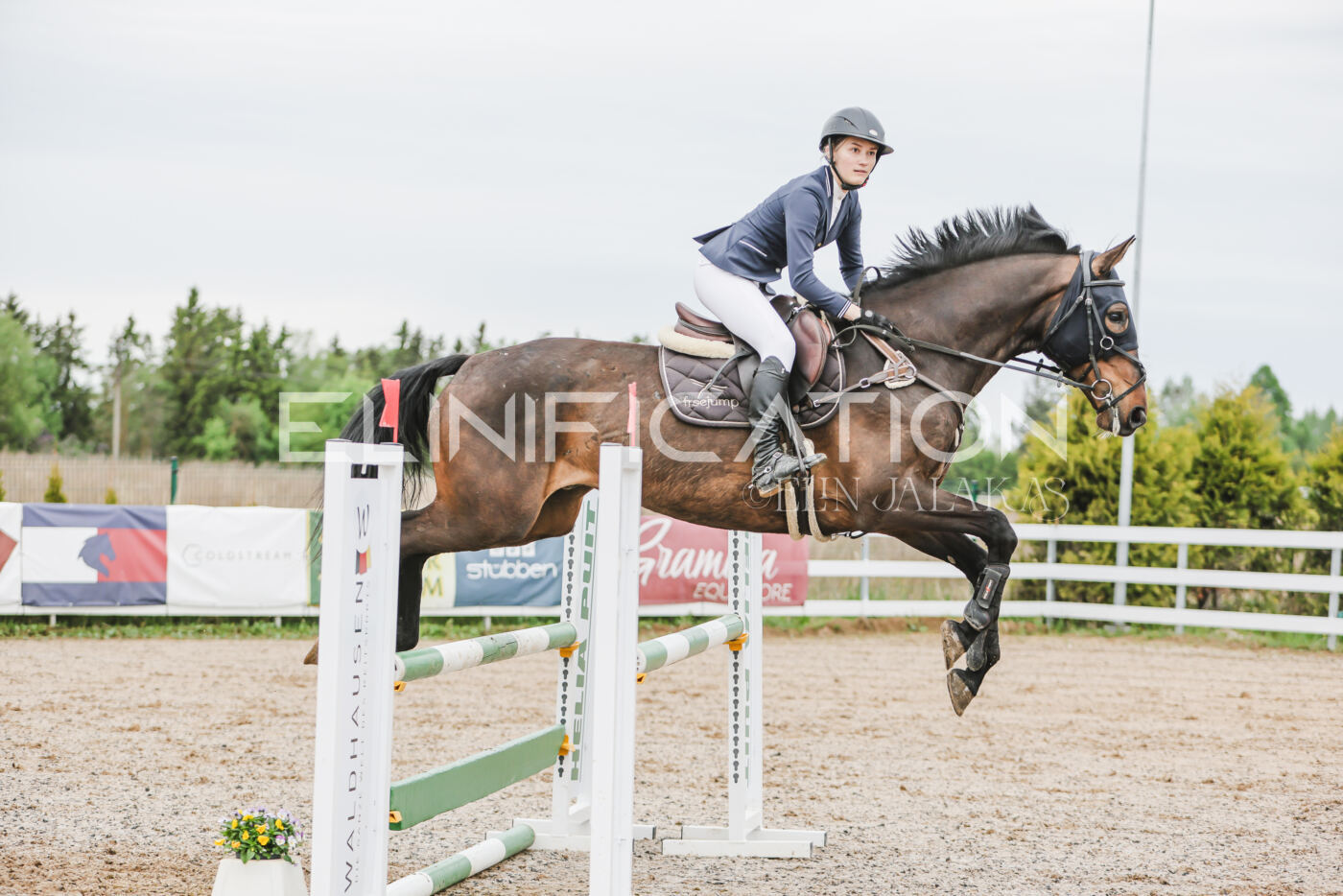 Gramina_Kevad_2026_105_221