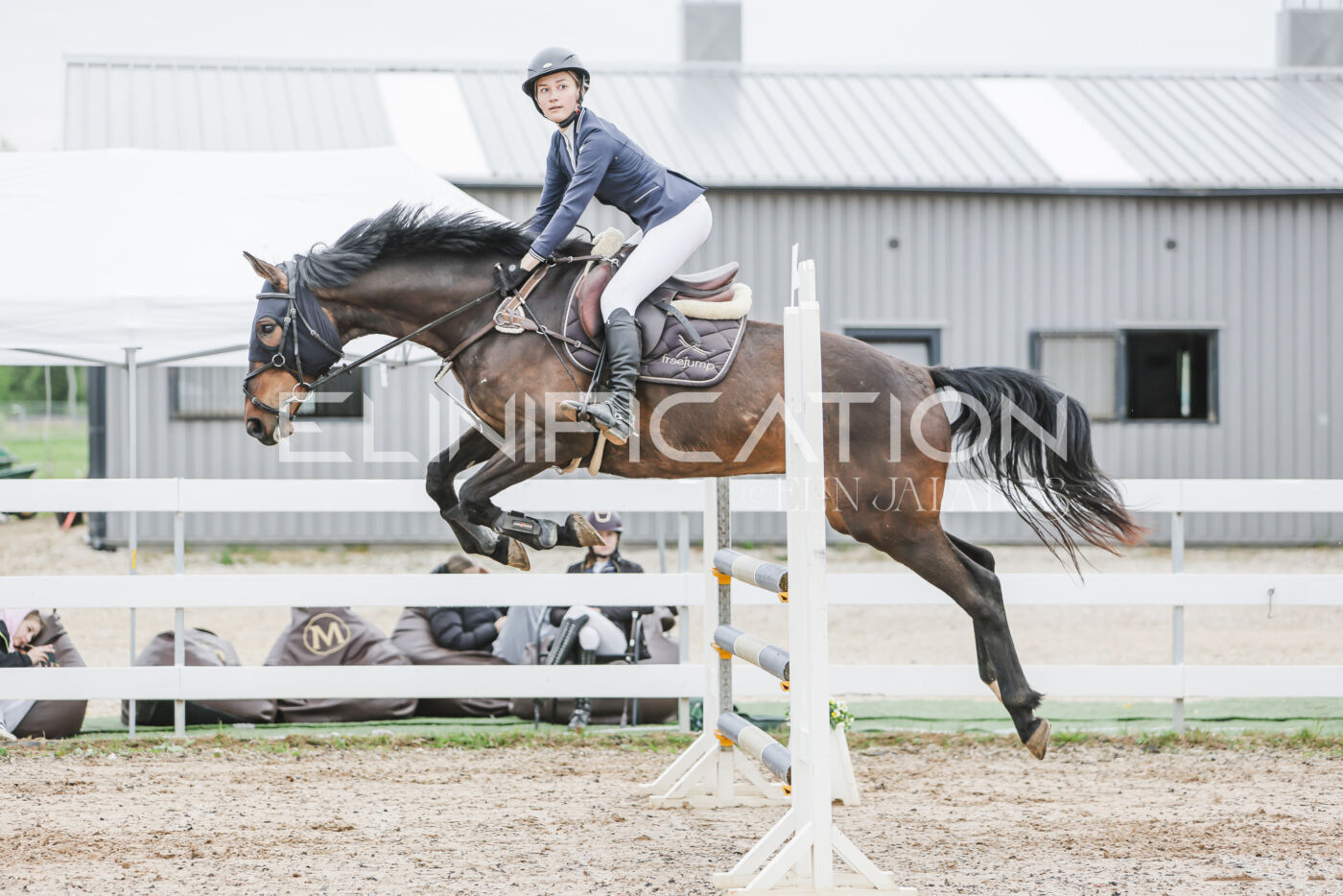 Gramina_Kevad_2026_105_225