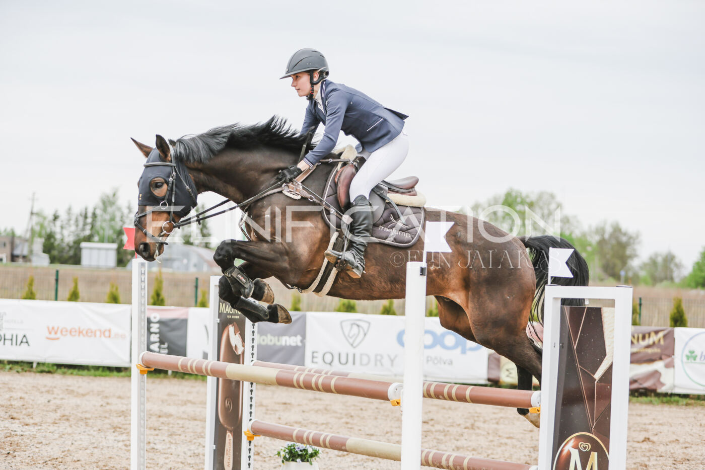 Gramina_Kevad_2026_105_226