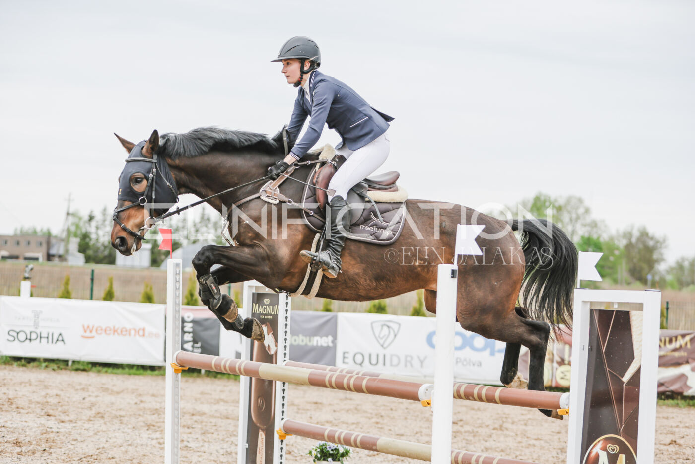 Gramina_Kevad_2026_105_227