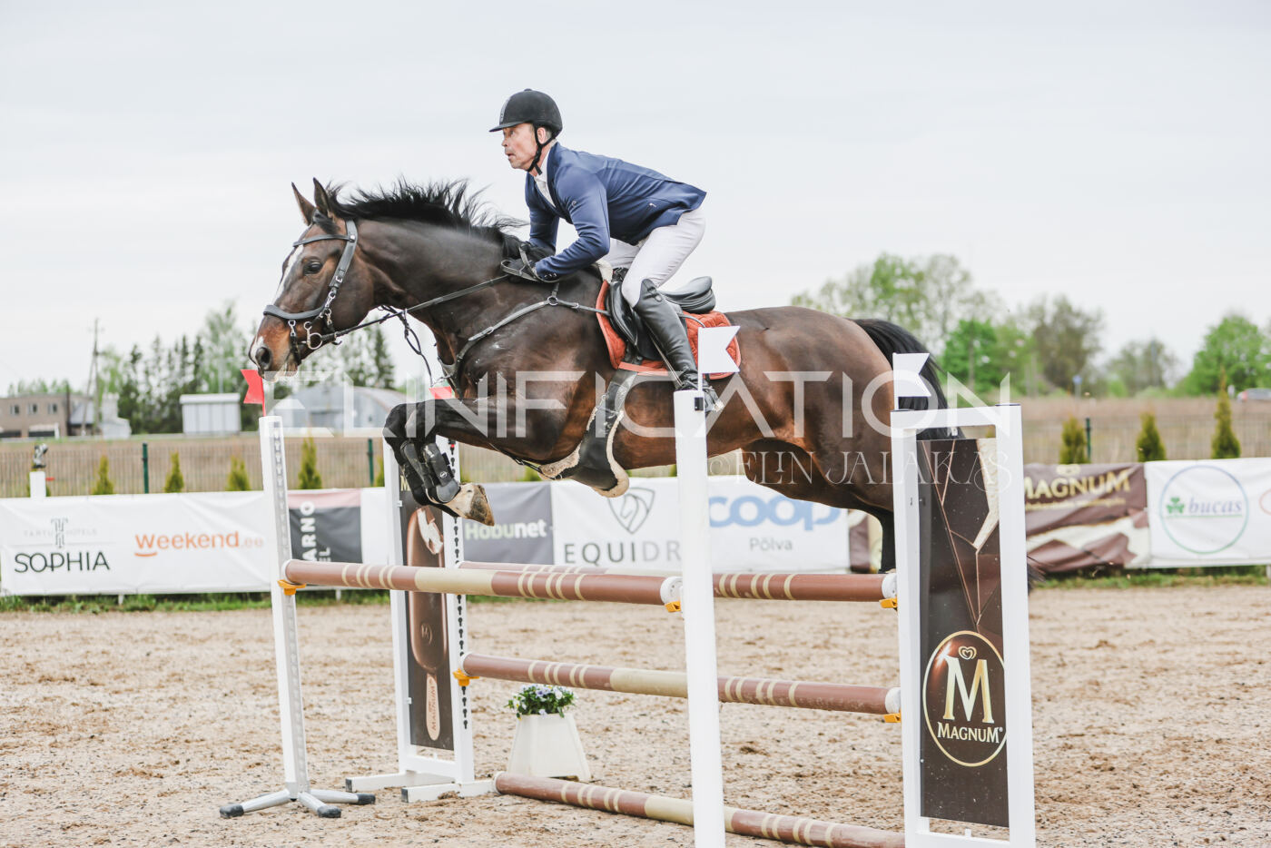 Gramina_Kevad_2026_105_241