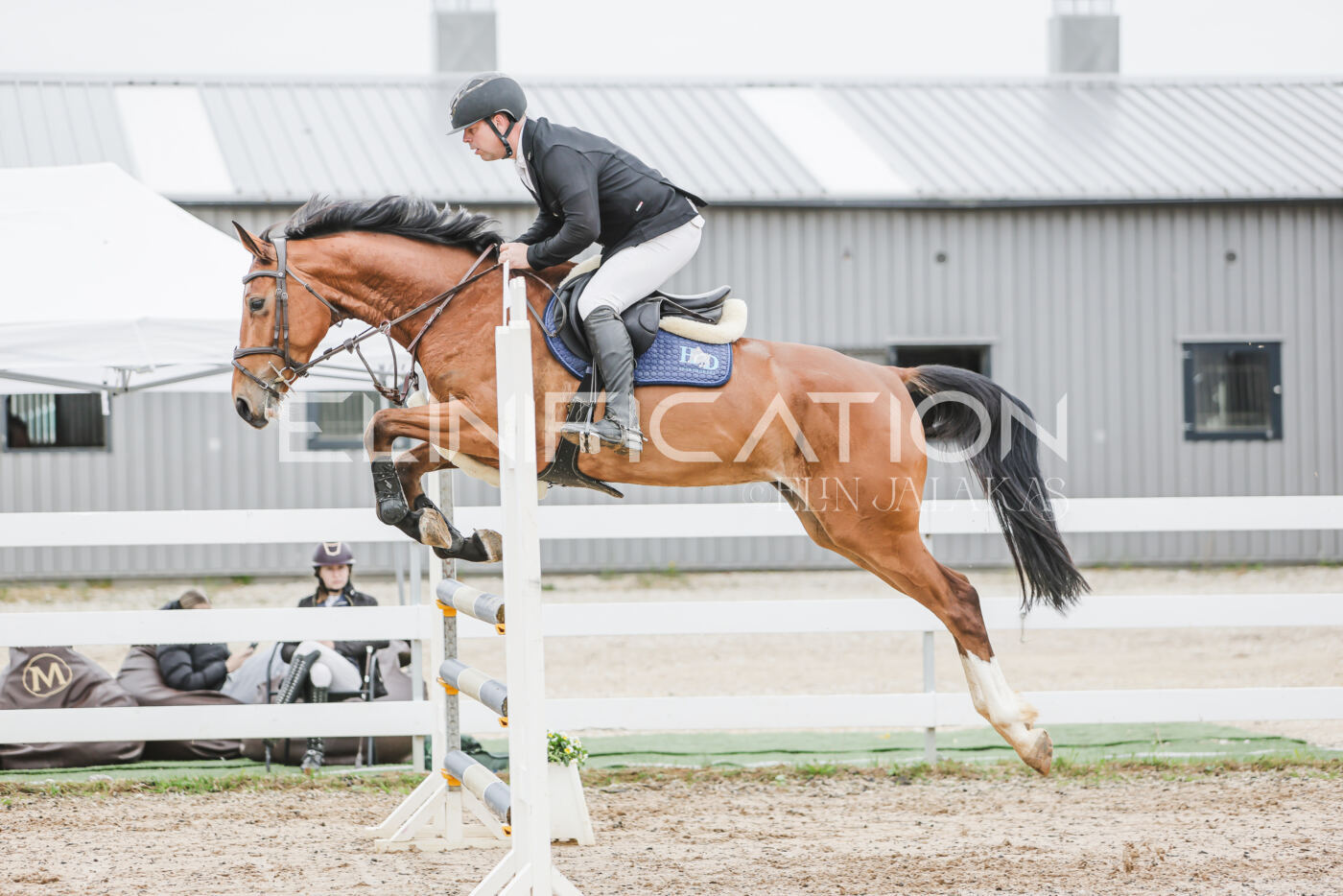 Gramina_Kevad_2026_105_249