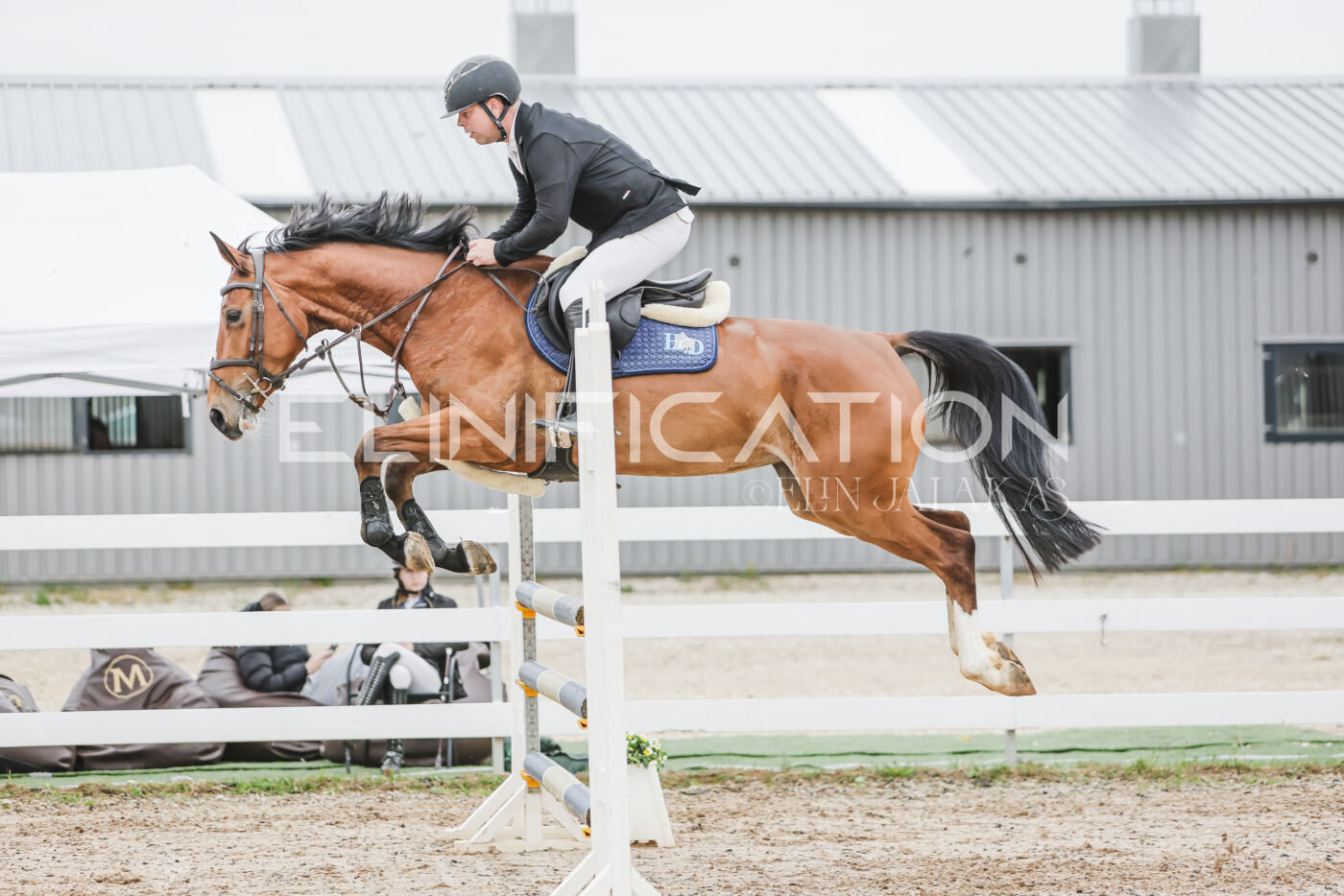 Gramina_Kevad_2026_105_250