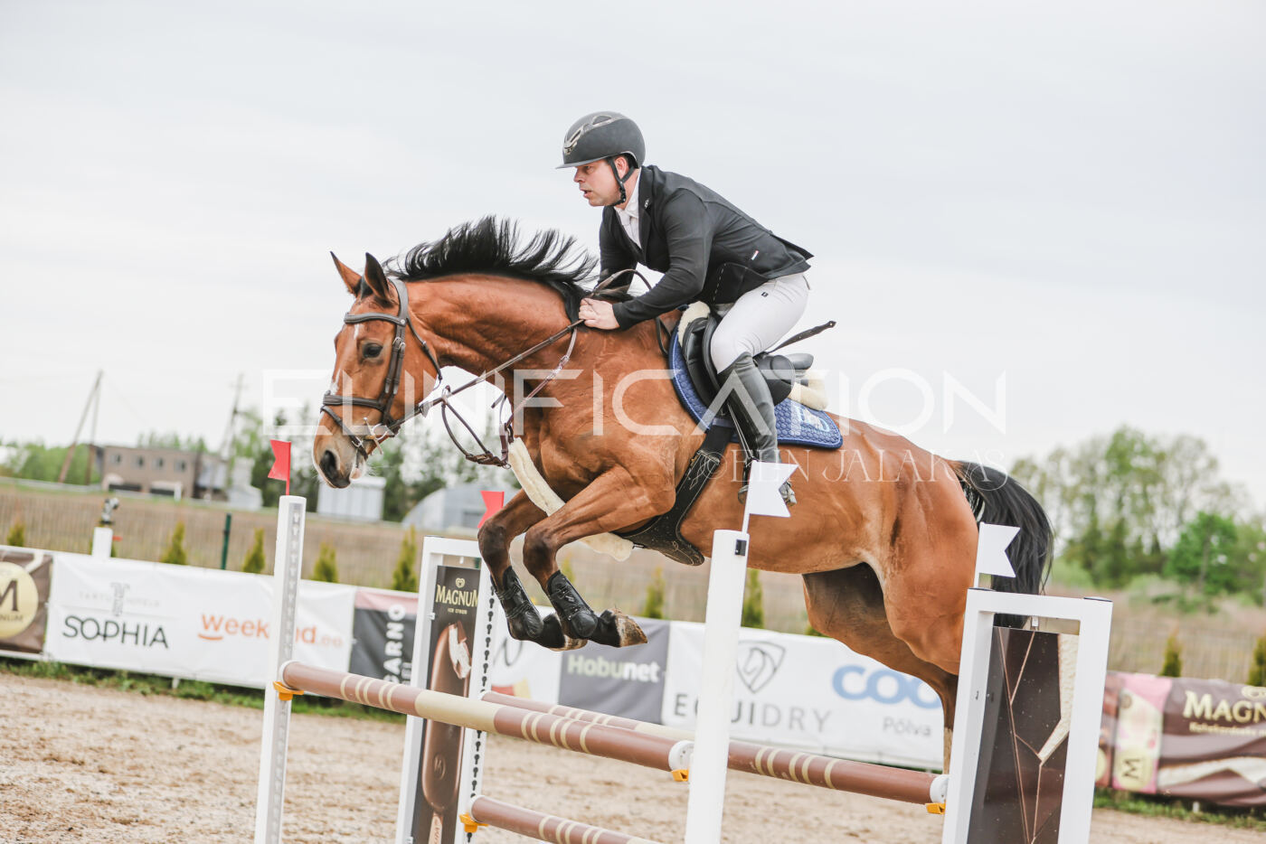 Gramina_Kevad_2026_105_251