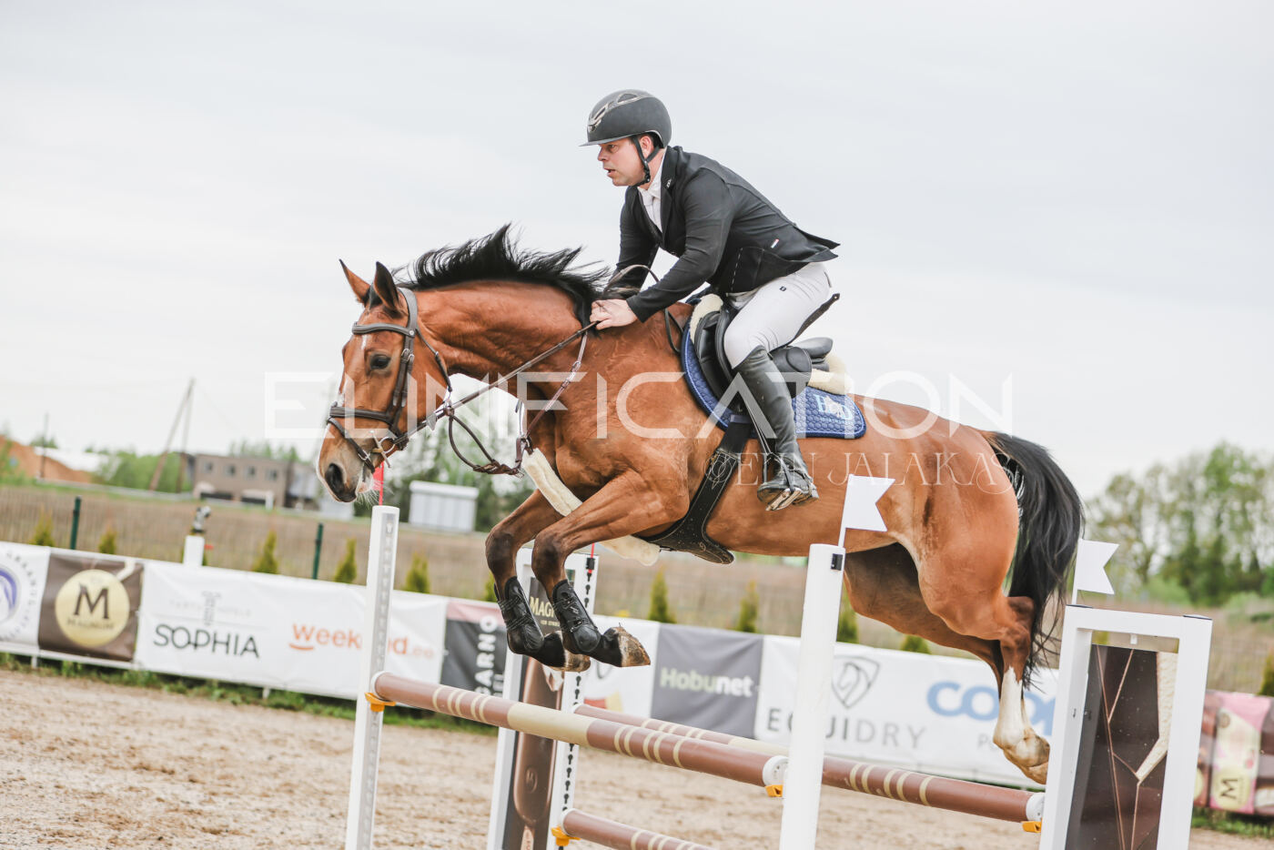 Gramina_Kevad_2026_105_252