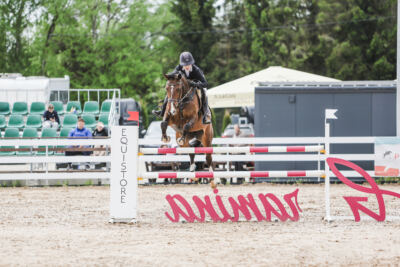 Gramina_Kevad_2026_hc125-130_001