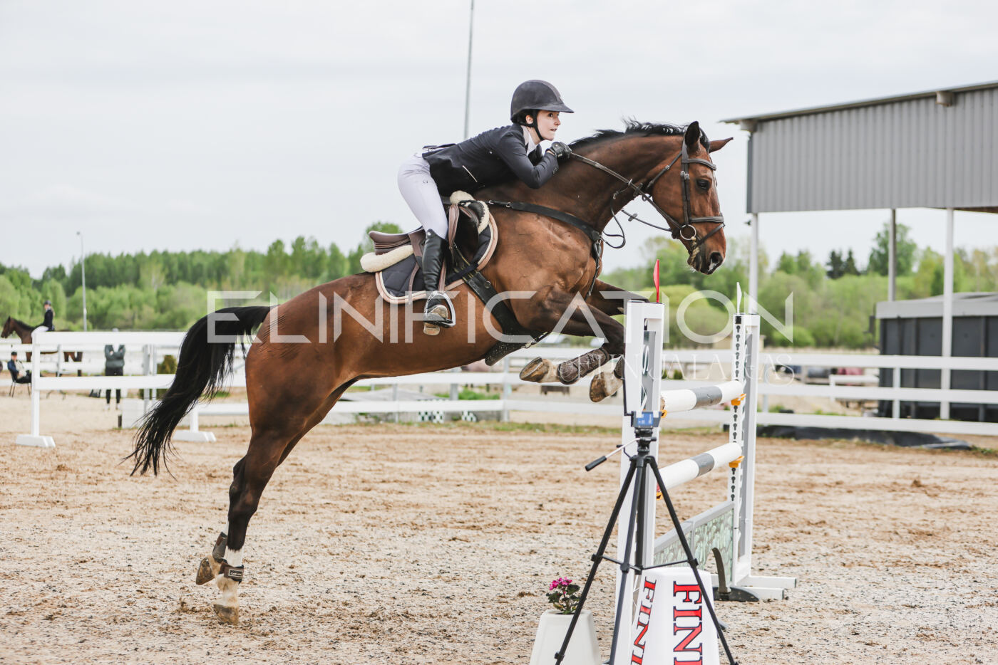 Gramina_Kevad_2026_hc125-130_006