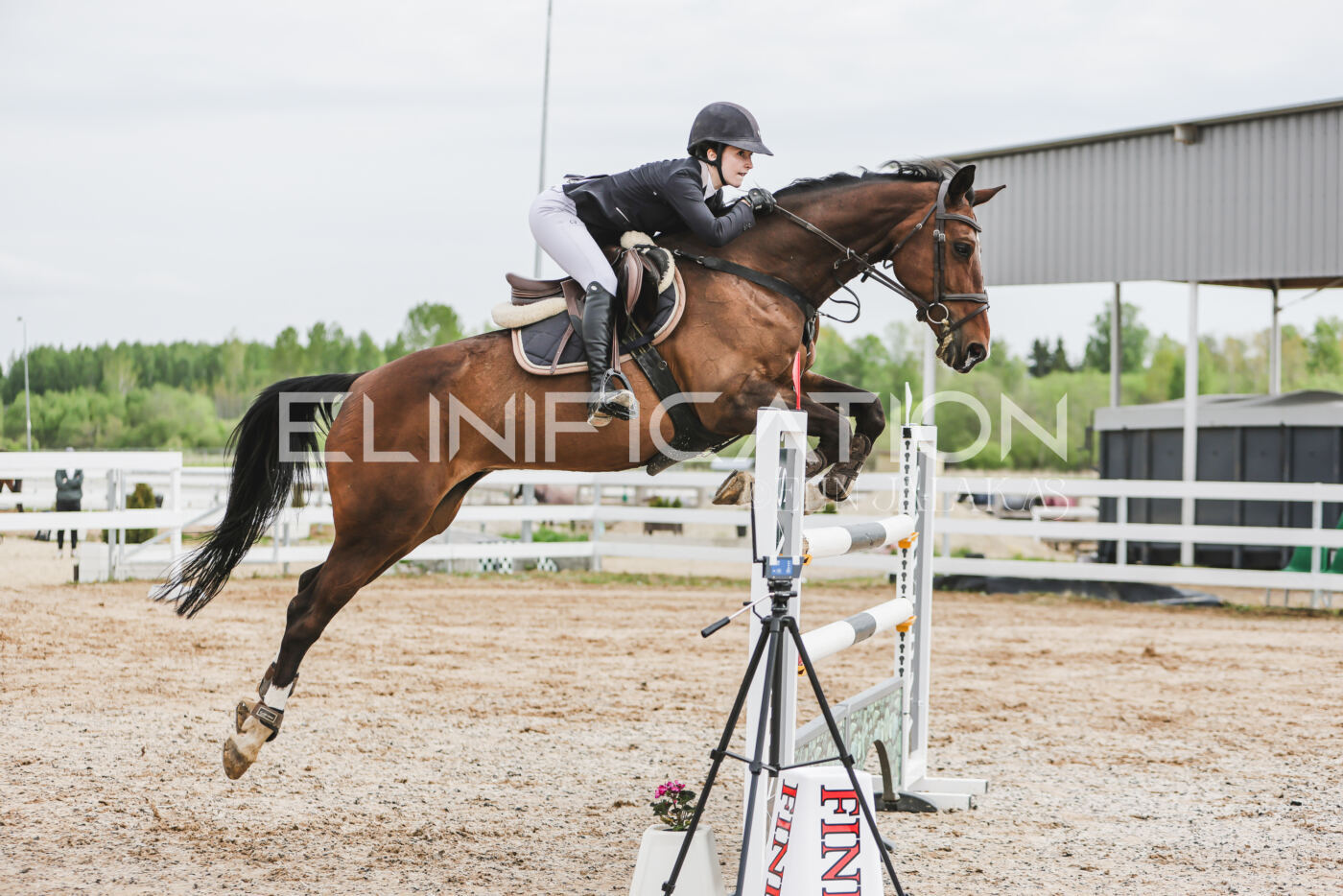 Gramina_Kevad_2026_hc125-130_007