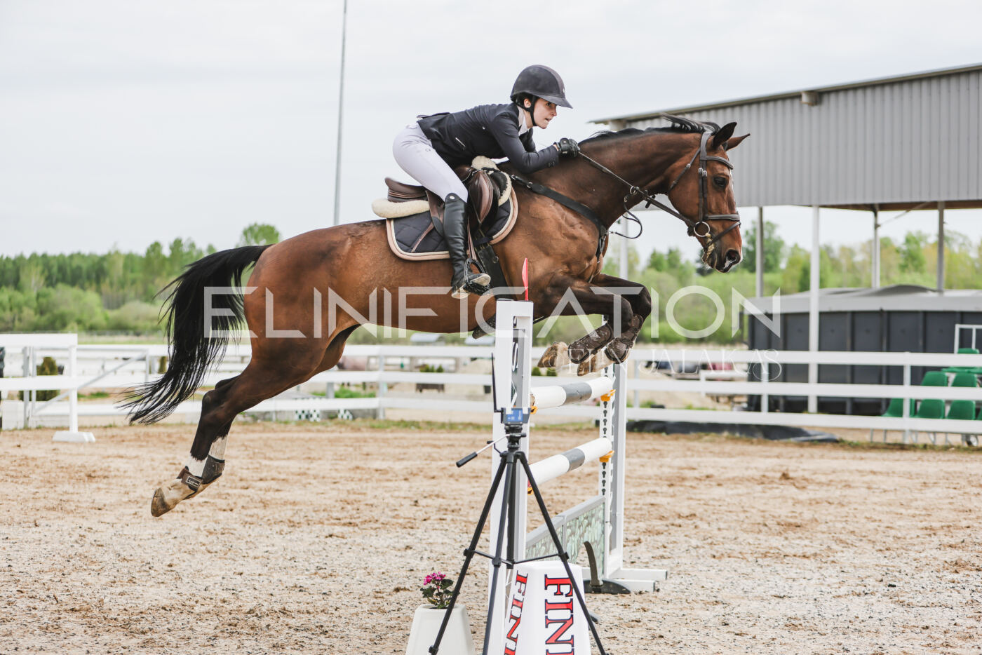 Gramina_Kevad_2026_hc125-130_008
