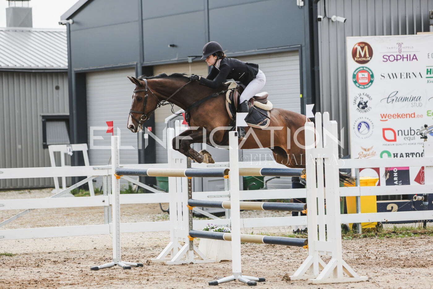 Gramina_Kevad_2026_hc125-130_013