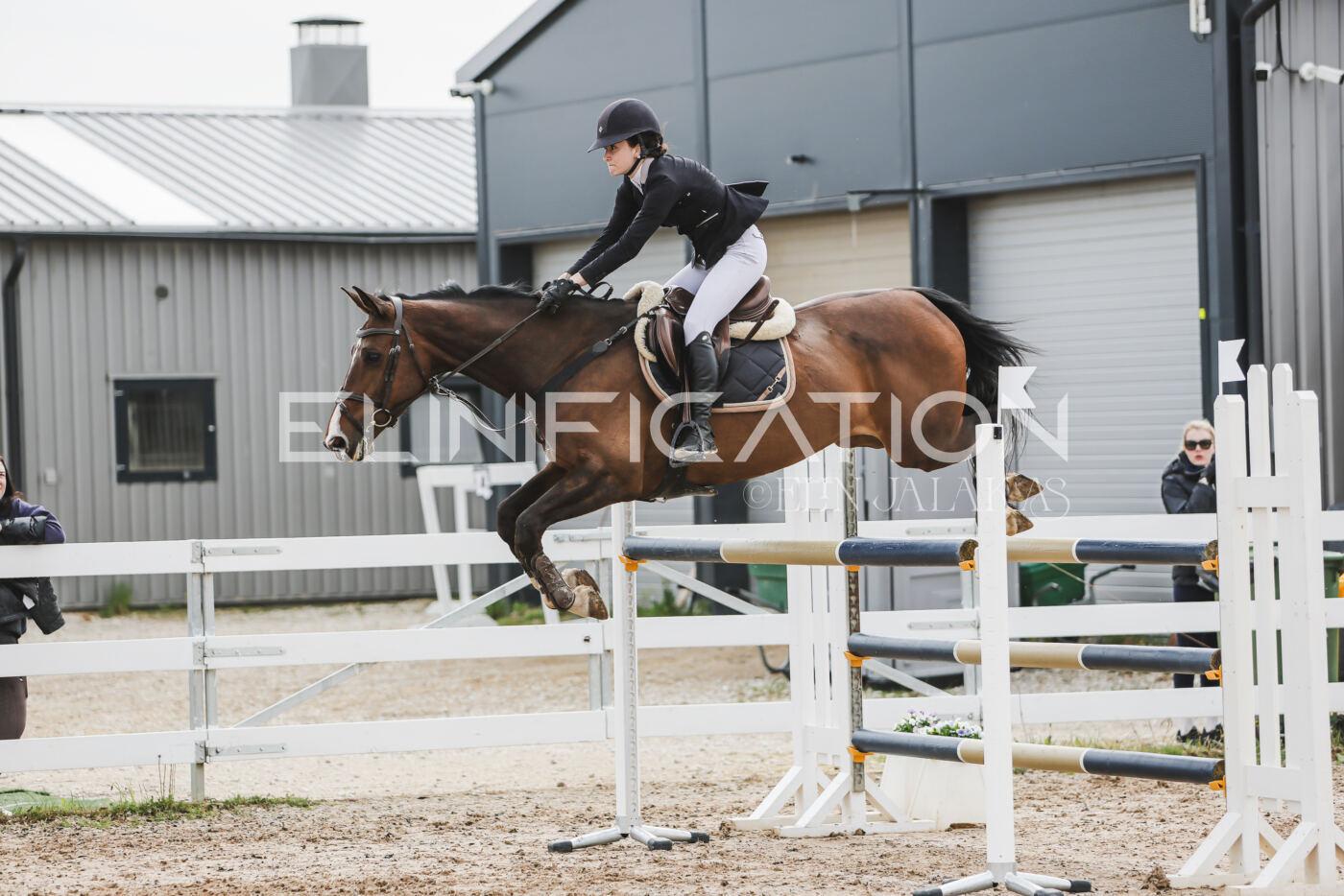 Gramina_Kevad_2026_hc125-130_017