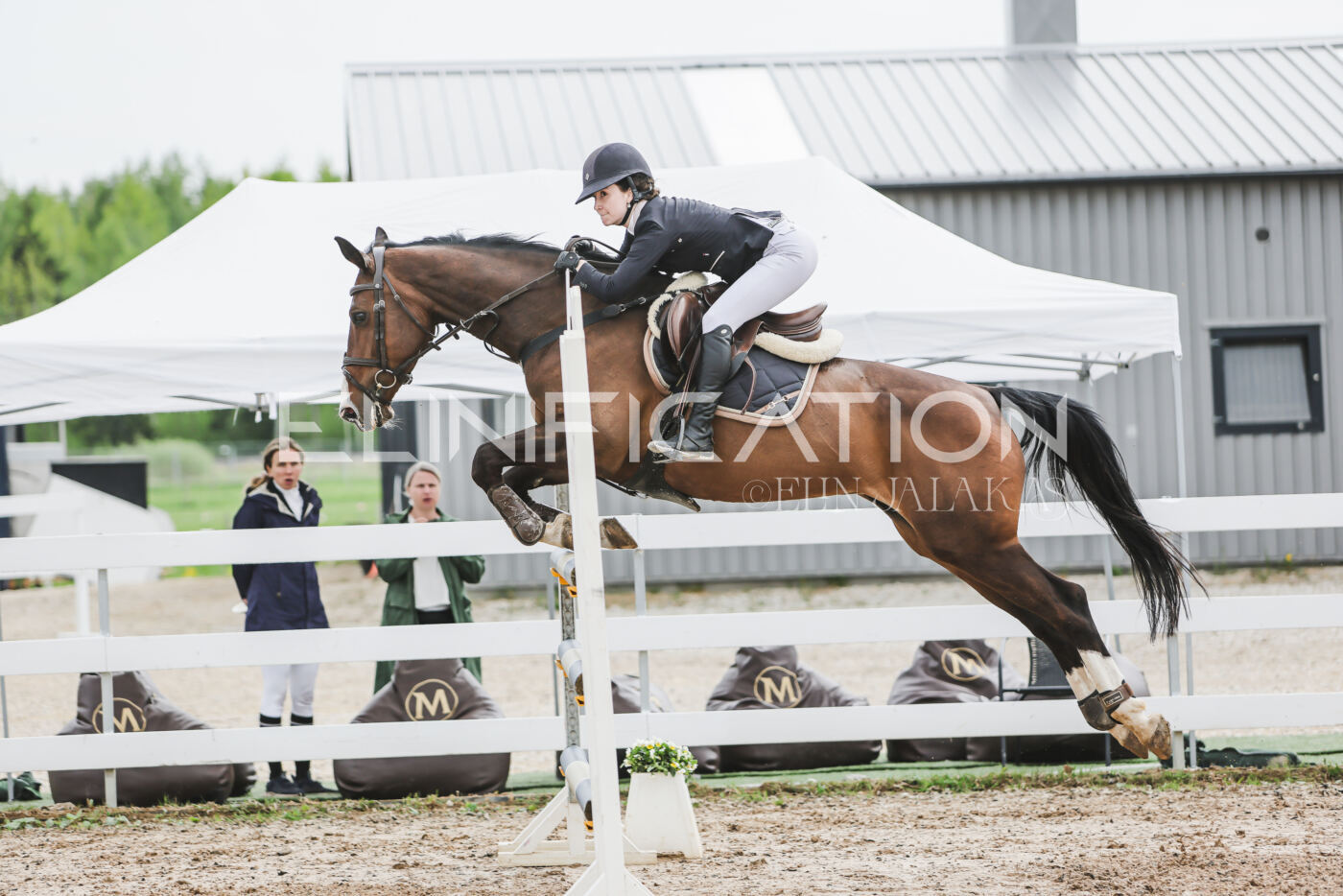 Gramina_Kevad_2026_hc125-130_018