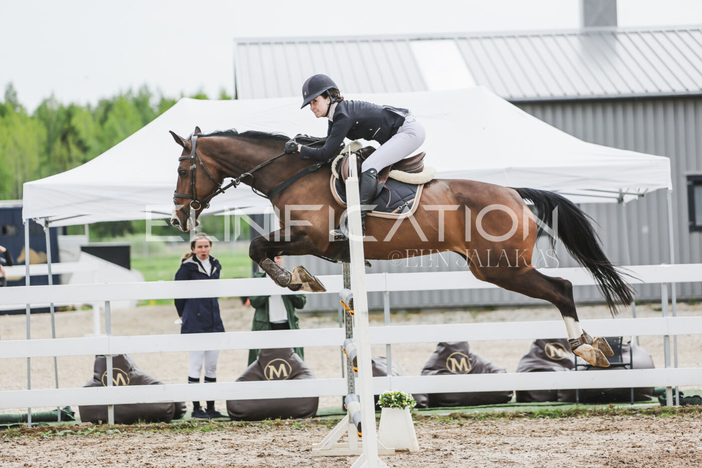 Gramina_Kevad_2026_hc125-130_019