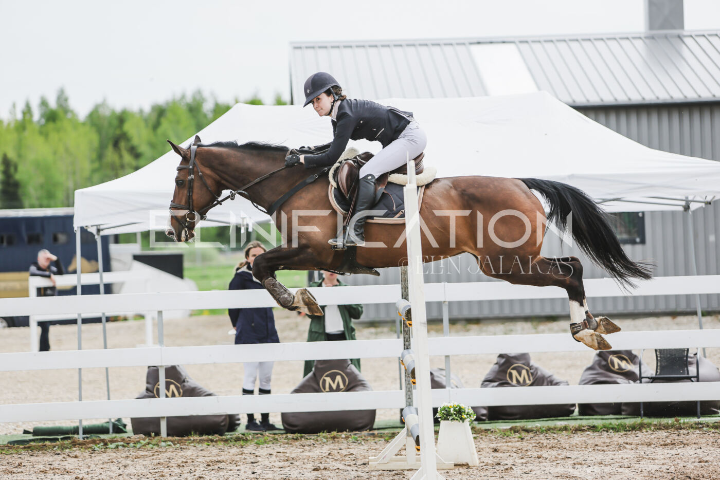 Gramina_Kevad_2026_hc125-130_020
