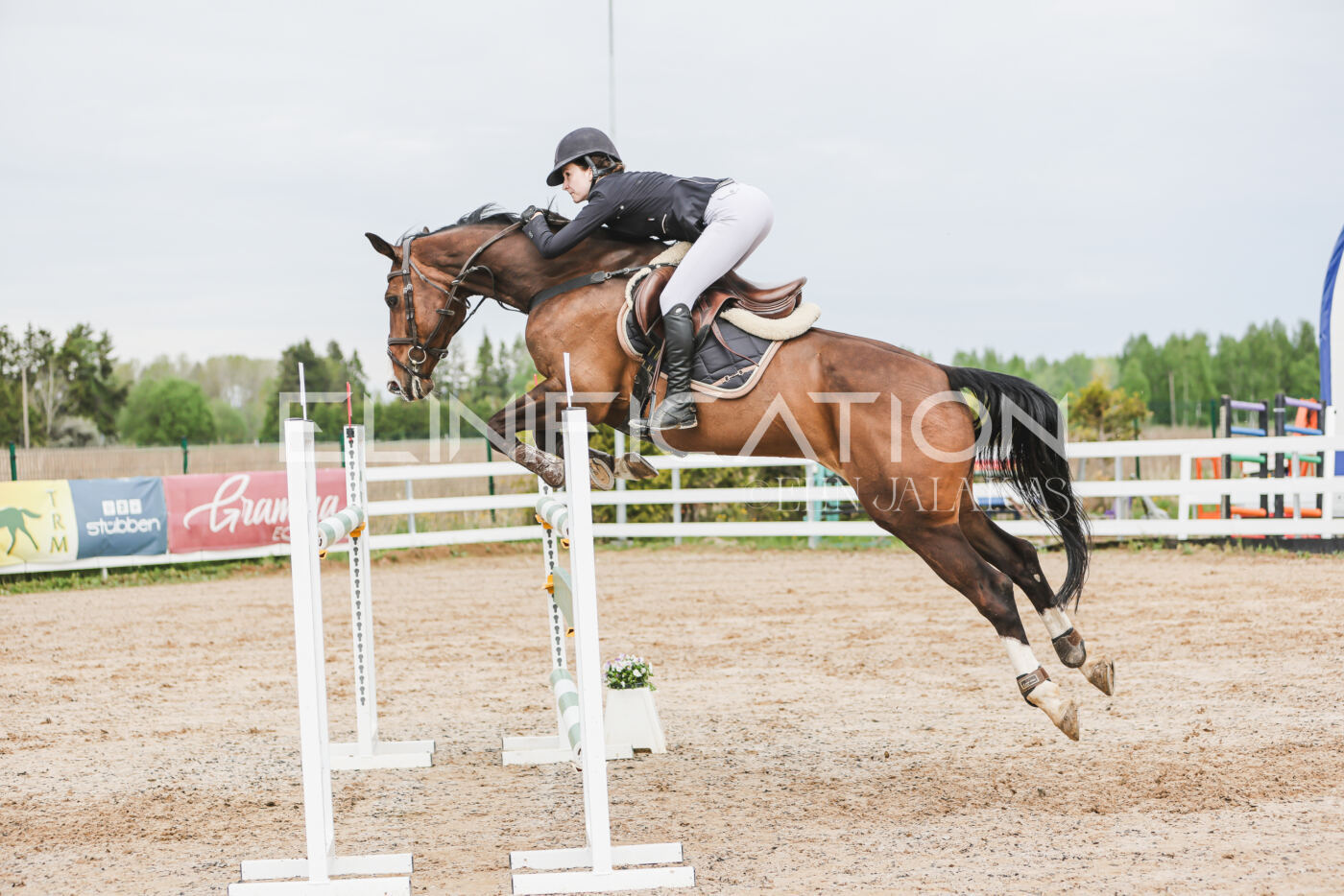 Gramina_Kevad_2026_hc125-130_022