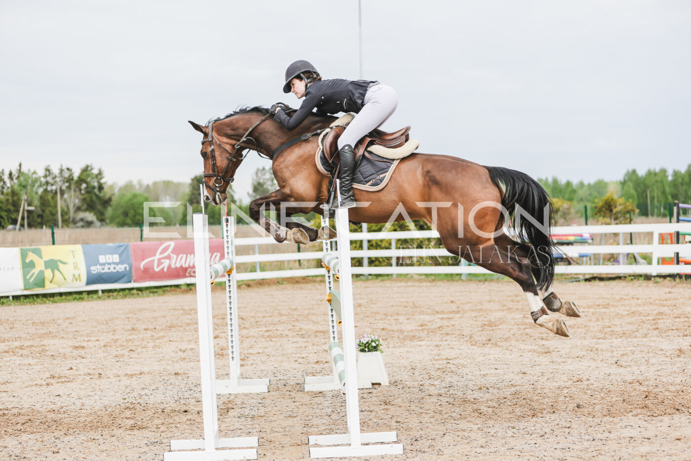 Gramina_Kevad_2026_hc125-130_023