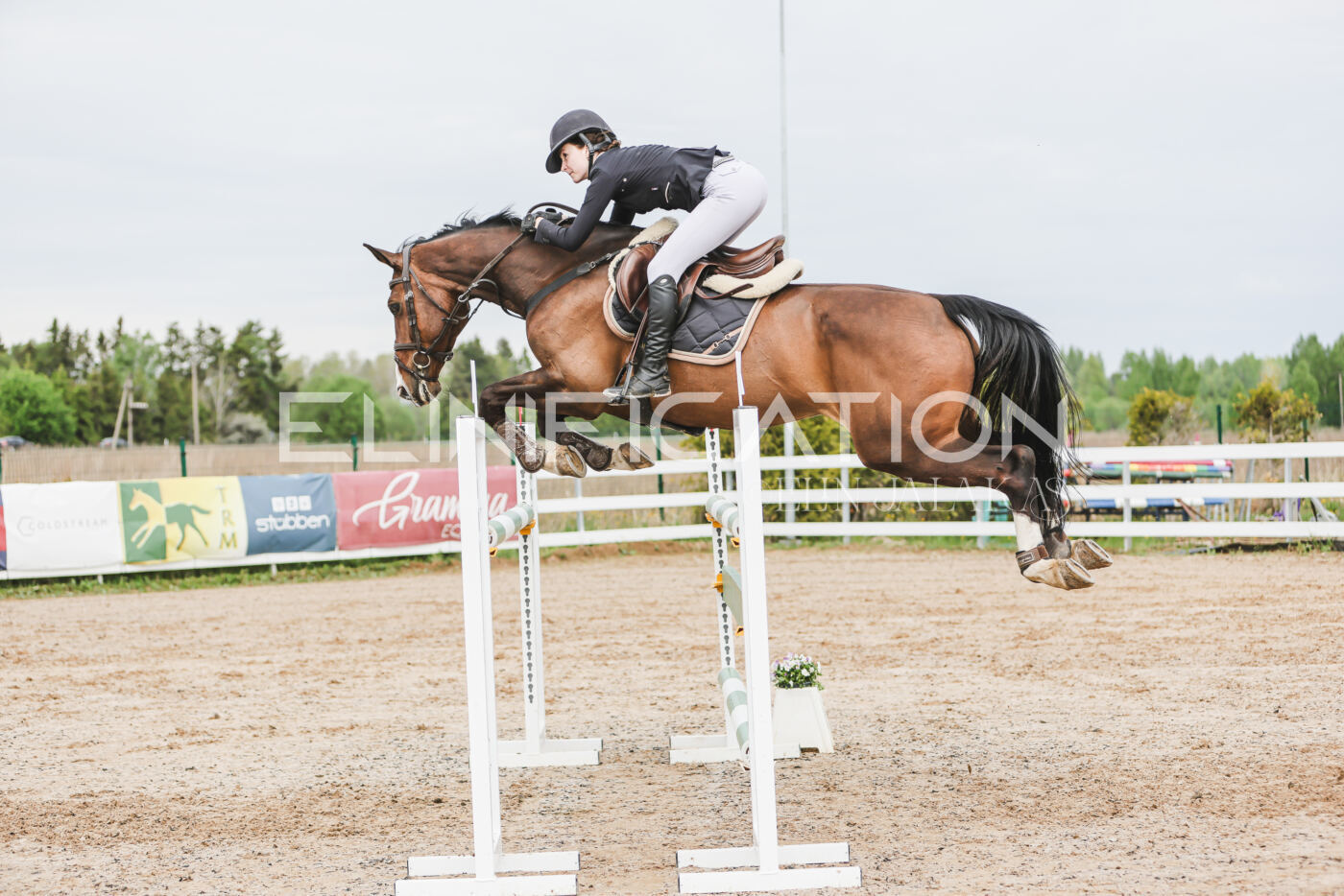Gramina_Kevad_2026_hc125-130_024