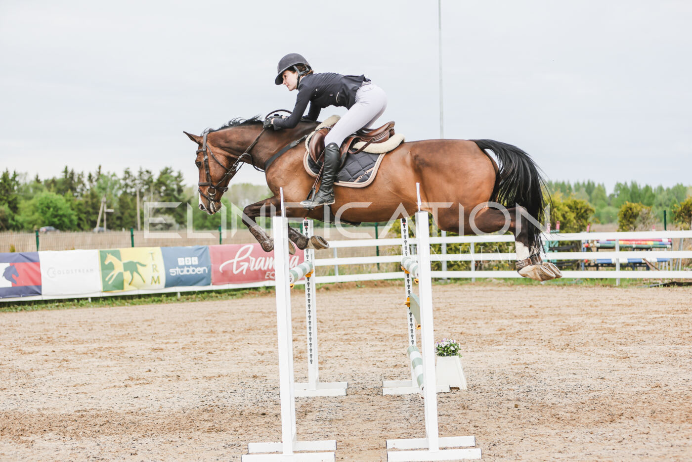 Gramina_Kevad_2026_hc125-130_025