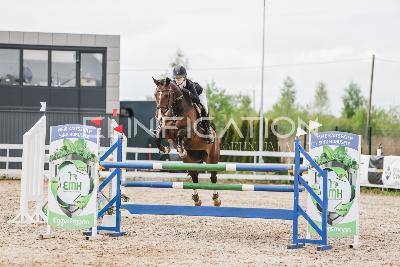 Gramina_Kevad_2026_hc125-130_027