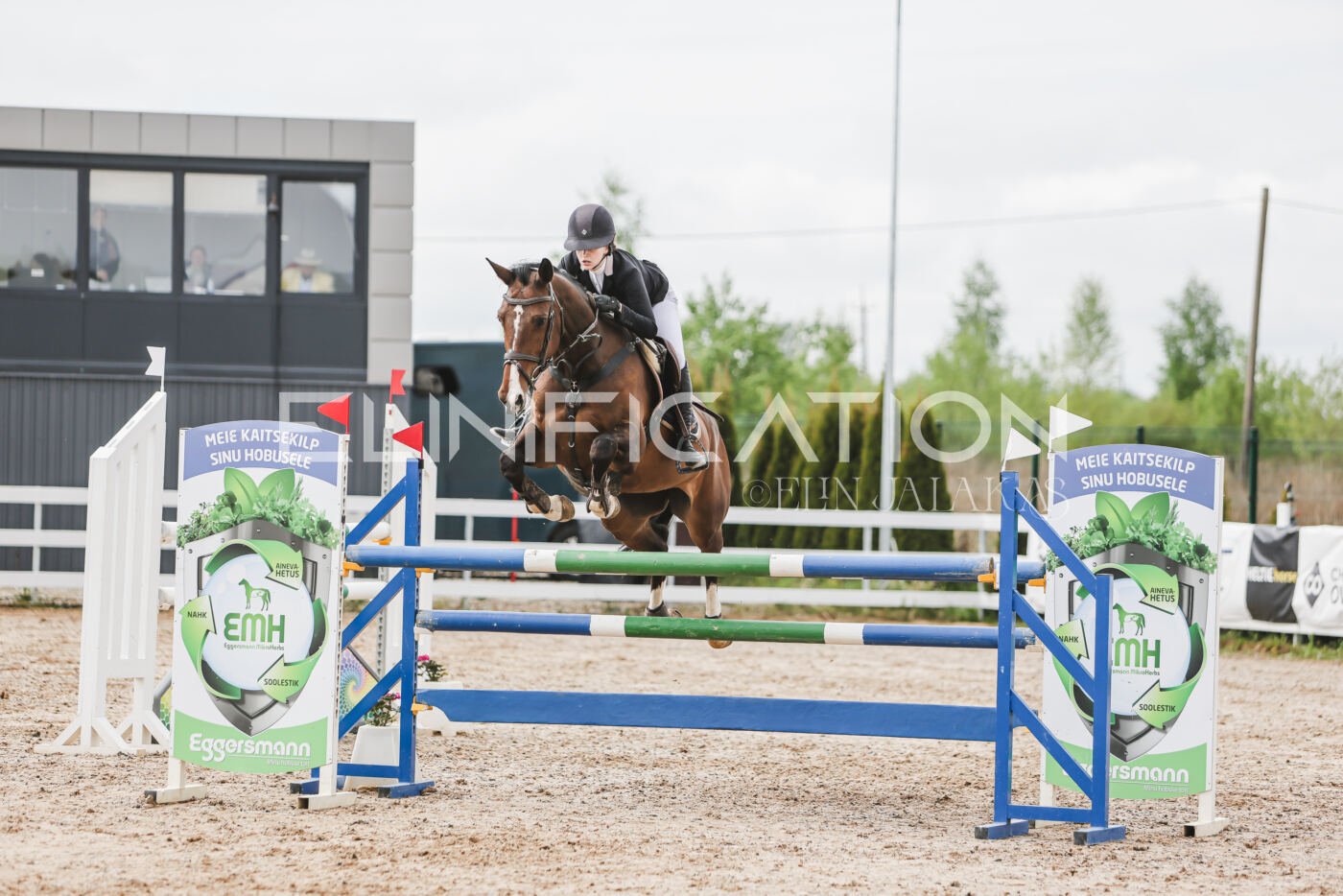 Gramina_Kevad_2026_hc125-130_028