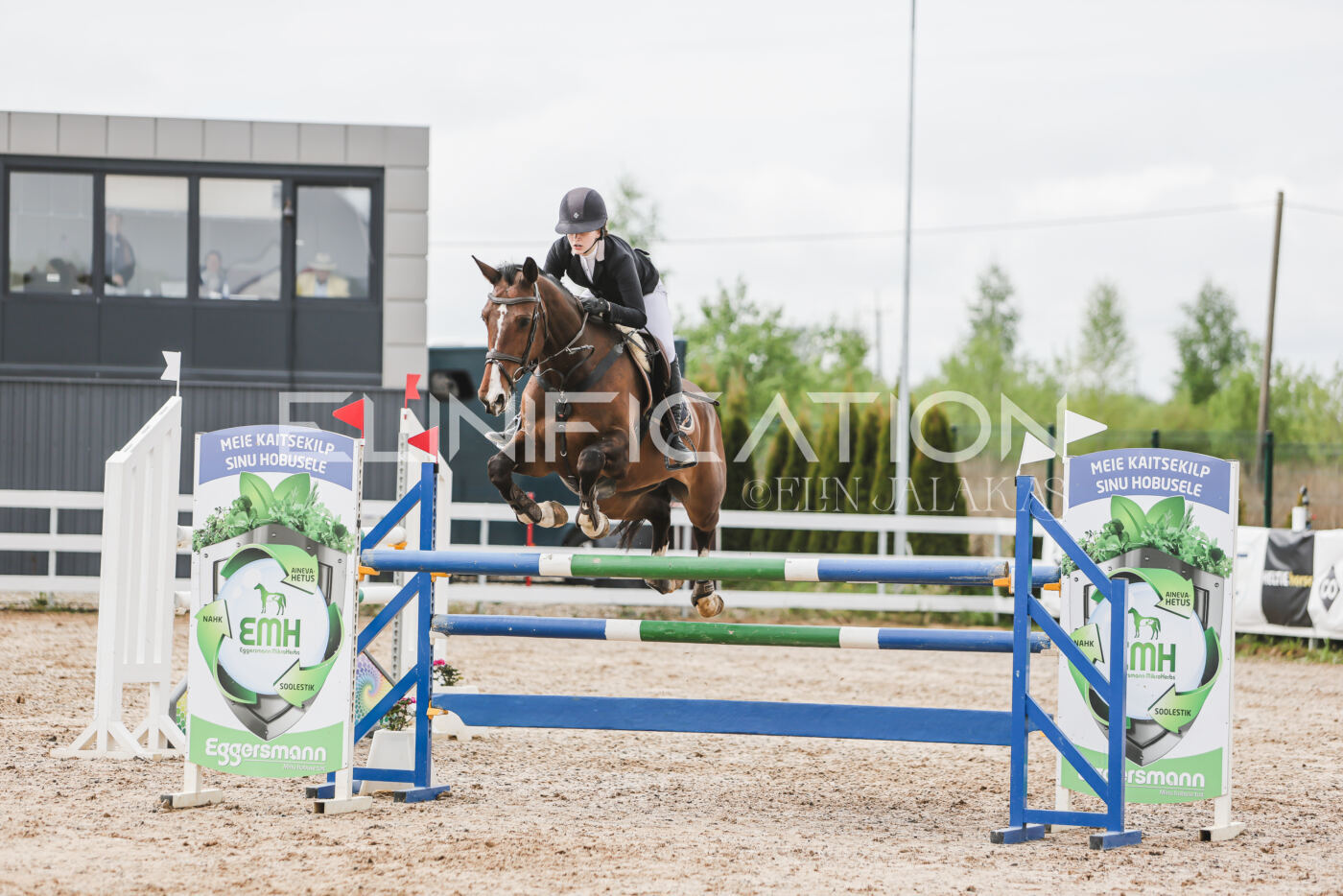 Gramina_Kevad_2026_hc125-130_029