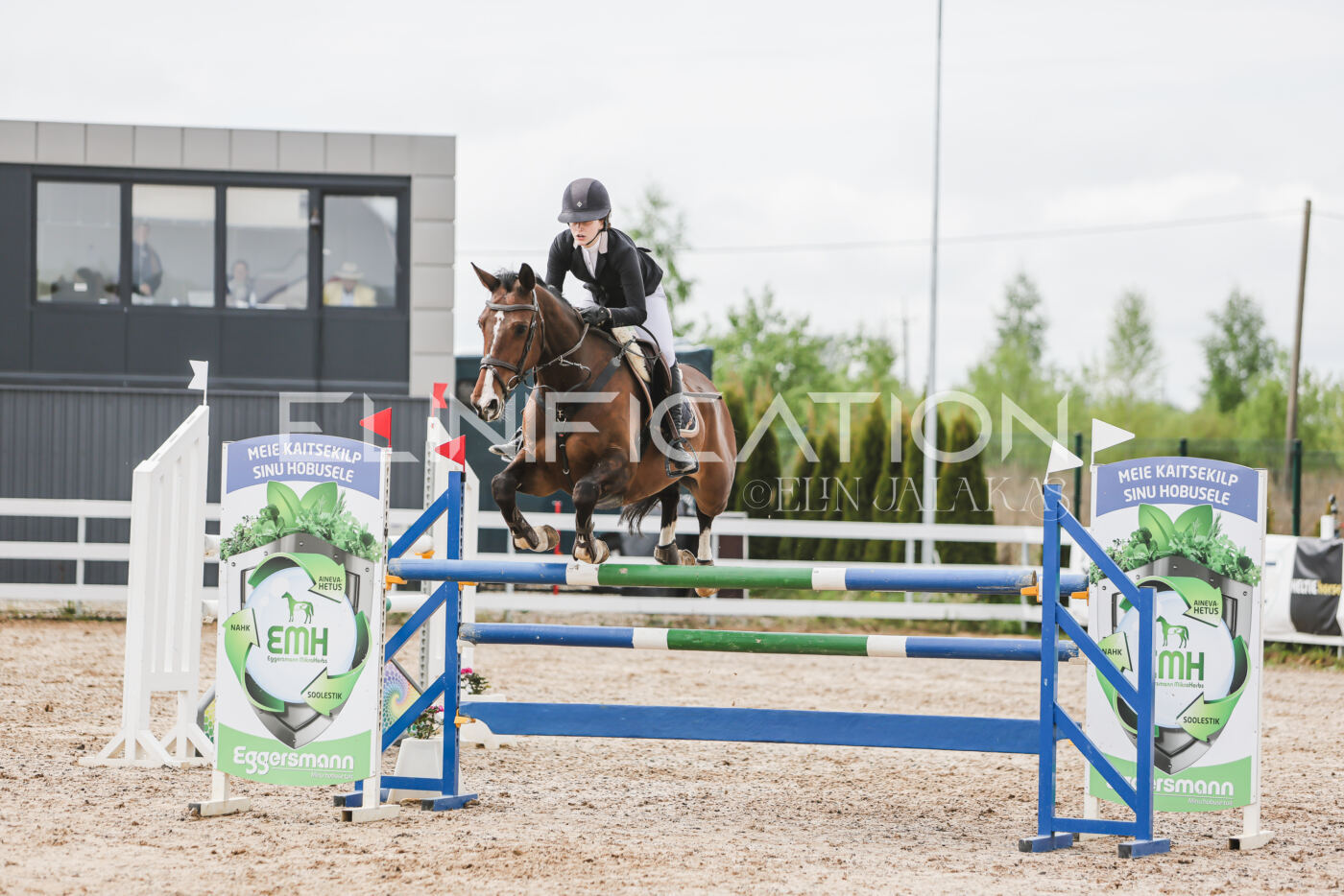 Gramina_Kevad_2026_hc125-130_030